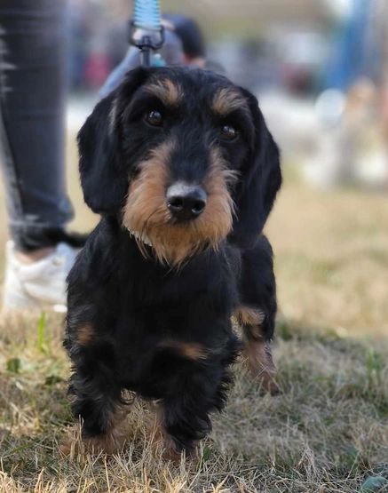 Uzel Du Domaine De Val'bonnieure