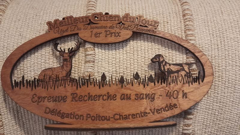 La recherche au sang - les épreuves