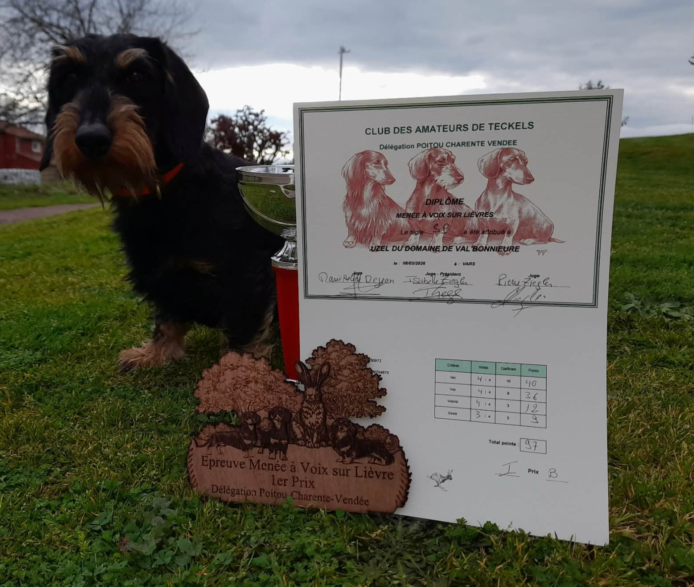 Epreuve de menée à voix sur Lièvre