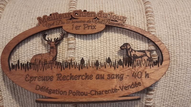 La recherche au sang - les épreuves 