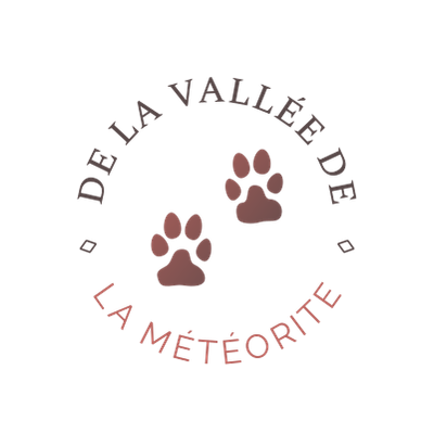 De La Vallée De La Météorite